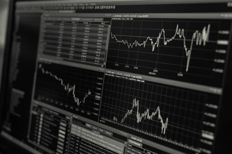 Analyse de marché : la base de tout
